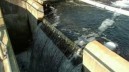 Acque reflue, 214 milioni per interventi di depurazione 