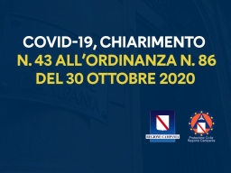 CHIARIMENTO n. 43 del 30 OTTOBRE 2020 ALL’ORDINANZA n. 86