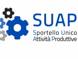 Costituzione della Community SUAP