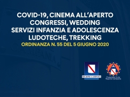 COVID-19, ORDINANZA N. 55
