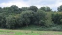 Forestazione e bonifica, sì ai piani di riparto dei fondi