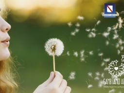 Terza edizione del concorso di idee “Cambiamo Aria!” 