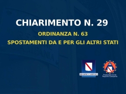 CHIARIMENTO n. 29 ALL'ORDINANZA n. 63