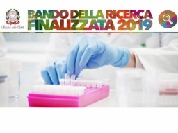 Bando della ricerca finalizzata anno 2019