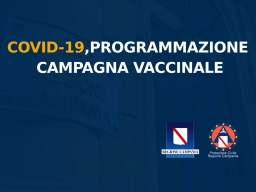 COVID-19, PROGRAMMAZIONE CAMPAGNA VACCINALE