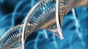 Biotecnologie: a Napoli l'IFIB, delegati da tutto il mondo