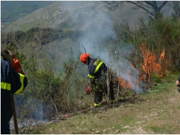 Protezione civile: attivato il servizio digitale per l’iscrizione al Corso Base Antincendio Boschivo (AIB) – Volontari (Codice BASE AIB-VOL 02-2025)