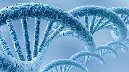 Genetica ed impresa, workshop con le applicazioni più innovative