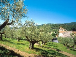 PNRR – Protezione e valorizzazione dell'Architettura e del paesaggio rurale - Proroga termini di consegna