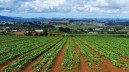 Ministero delle Politiche Agricole Alimentari e Forestali - Direttiva del 7 aprile 2014