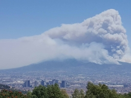 Emergenza roghi. Task force esercito e aiuti alle imprese danneggiate. 
