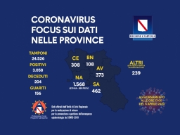 COVID-19, LA SITUAZIONE NELLE PROVINCE