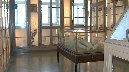Contributi a musei e raccolte di ente locale e di interesse locale