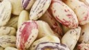 Agroalimentare, 20 nuovi prodotti campani tradizionali 