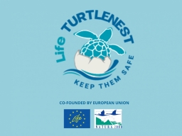 Regione Campania partecipa al progetto Life Turtlenest