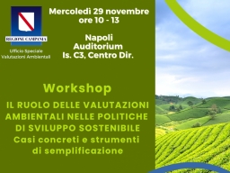 Workshop "Il ruolo delle valutazioni ambientali nelle politiche di sviluppo sostenibile"