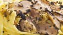 Tartufi, pubblicato il nuovo regolamento