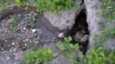 Alluvioni, al via pulizia alvei