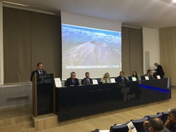 Vitalità dell'impresa e sviluppo del Mezzogiorno
