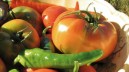 Avviso Pubblico per la realizzazione di progetti volti alla promozione di uno stile di vita salutare e di una sana alimentazione
