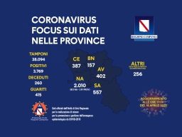 COVID-19, LA SITUAZIONE NELLE PROVINCE