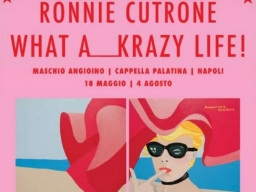 WHAT A … KRAZY LIFE!