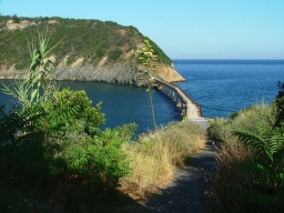 Manifestazione di interesse per l'affidamento sorveglianza ed avvistamento antincendio boschivo sull' ISOLA DI VIVARA