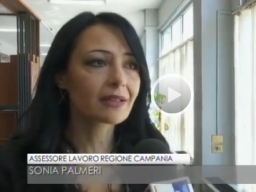 Nuova organizzazione Centri per l'Impiego - Assessore Palmeri al TGR Campania