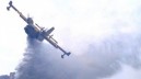 Incendi, Amendolara: “Nessuna incertezza, la Regione ha fatto tutta la sua parte”