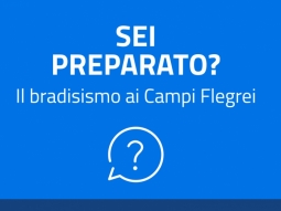 Sei preparato?