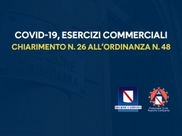 CHIARIMENTO N. 26 ALL’ORDINANZA N. 48