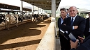 Il presidente De Luca visita l’azienda Cirio Agricola a Piana di Monte Verna