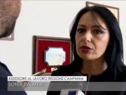 Assessore Palmeri al TG3 Campania su Sicurezza in edilizia - 15 Febbraio