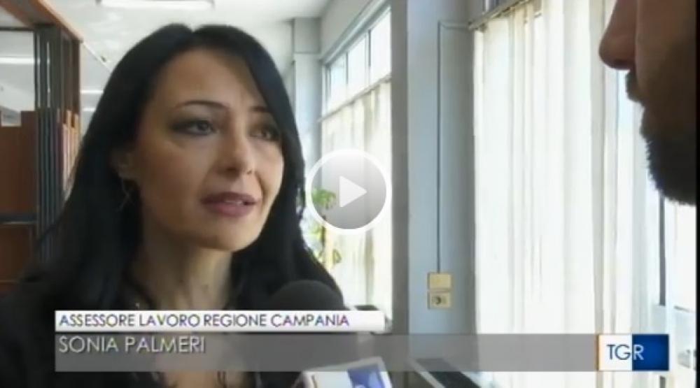 CLICCA QUI: Nuova organizzazione Centri per l'Impiego - Assessore Palmeri al TGR Campania