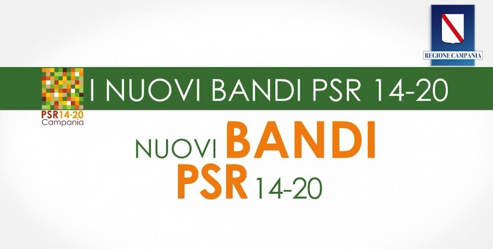 PSR Campania 2014-2020: pubblicate le informative su 23 bandi di attuazione