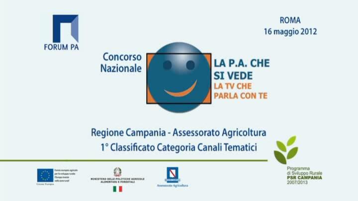 Il consigliere Amendolara al Forum PA