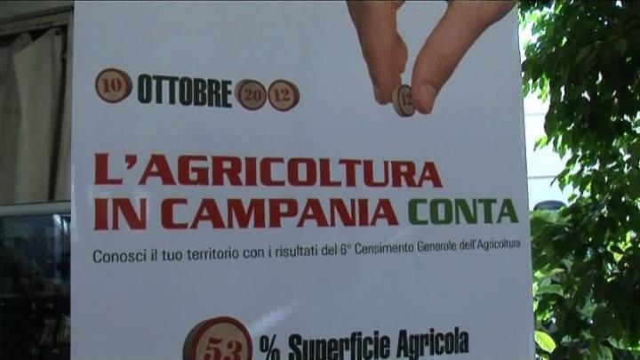 Sesto censimento Agricoltura, presentati i dati definitivi