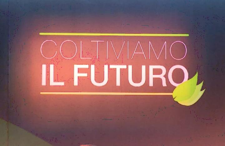 Intesa Philip Morris-Coldiretti per le aziende campane produttrici di tabacco