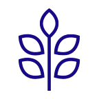 agricoltura