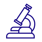 ricerca