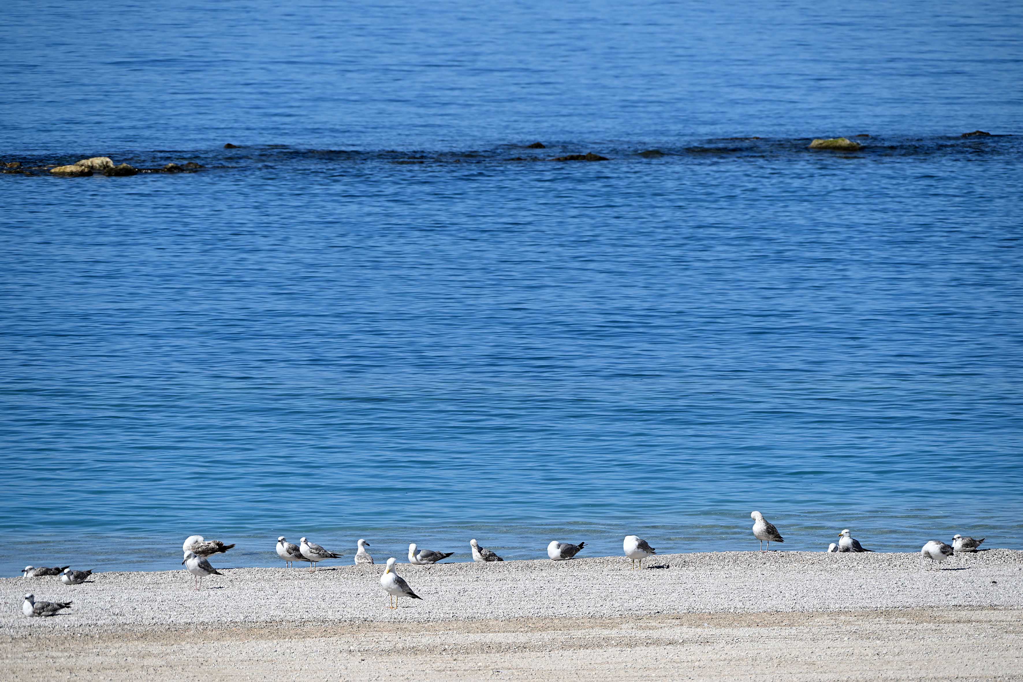 de_luca-nuove_spiagge_salerno