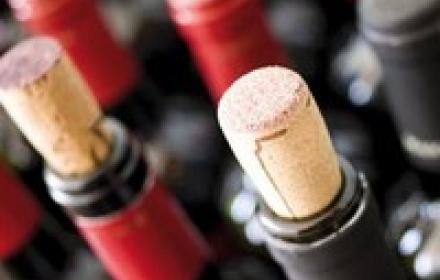 vino