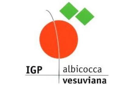 logo albicocca vesuviana